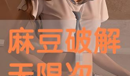 麻豆破解,揭秘时尚界的秘密武器